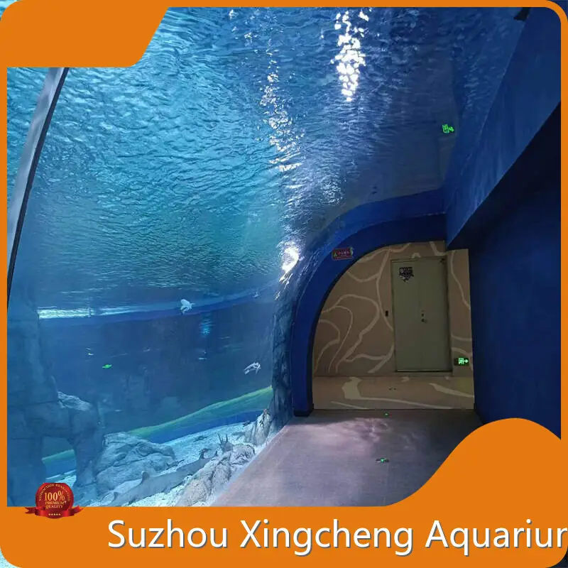 Underwater Tunnel Aquarium Shopping  by Xchacrylic 1