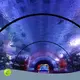 Best Clear Acrylic Tunnels Clear Acrylic Tunnels Company 1