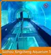 Xchacrylic Acrylic Tunnels Above 1.19g/cm3 Acrylic TunnelsSupply 1