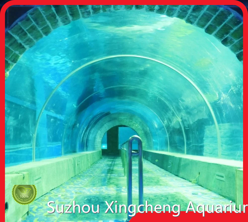 Best Tunnel Aquarium 1