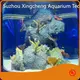 Custom Acrylic Aquariums 100% Pure Imported Lucite - - Xchacrylic 1
