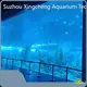 60 Gallon Acrylic Aquarium Aquarium by Xchacrylic 1