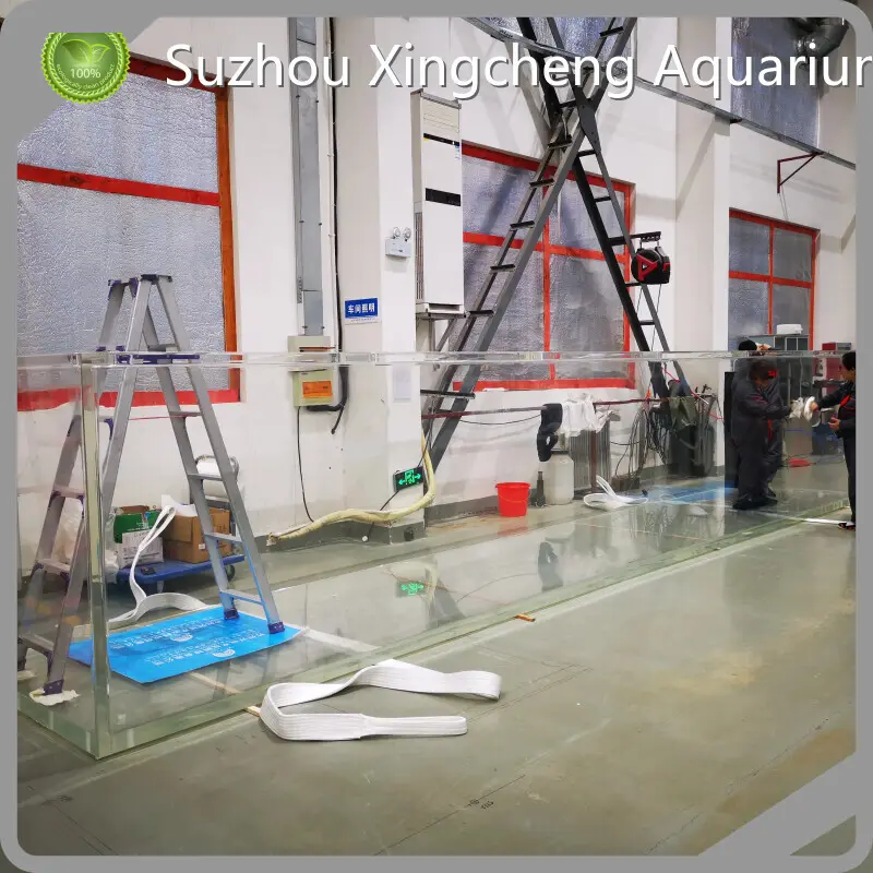 Acrylic Fish Tank Manufacturers 93% by Xchacrylic 1