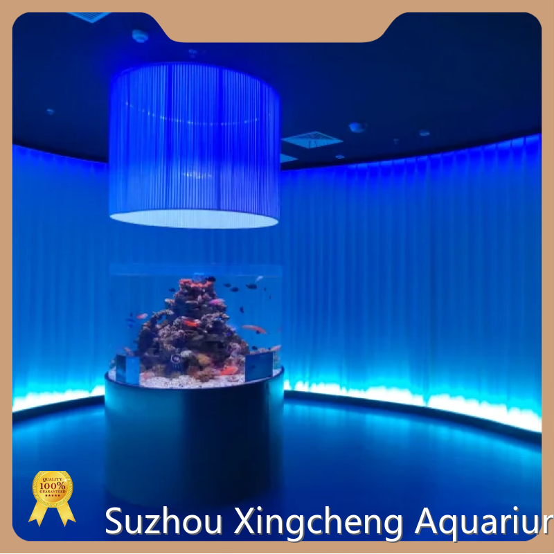 Acrylic Custom Aquariums 4.5L - - Xchacrylic 1