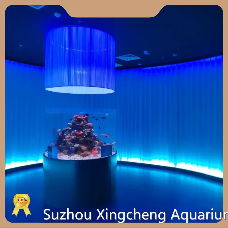 Acrylic Custom Aquariums 4.5L - - Xchacrylic 1