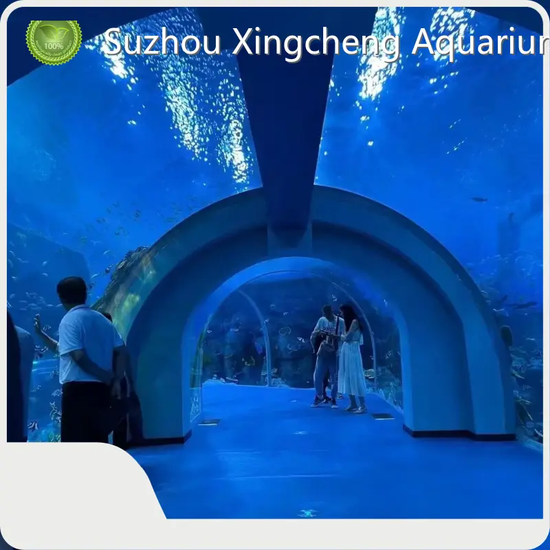 Tunnel Aquarium Customer's Demand - - Xchacrylic-1 1