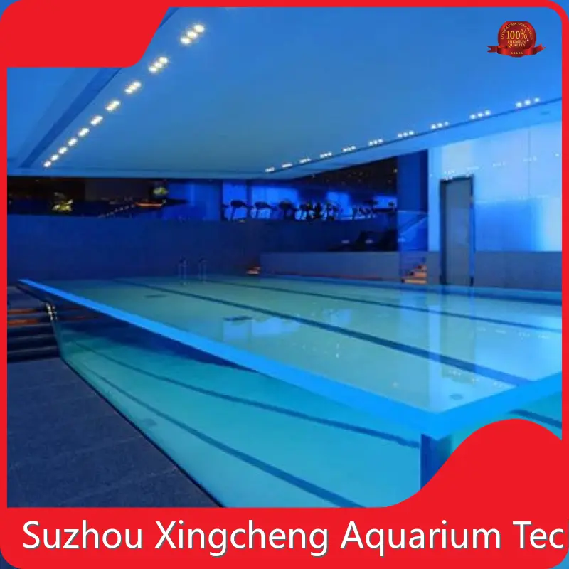 Plexiglass Swimming Pool Clear by Xchacrylic 1