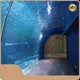 Clear Acrylic Tunnels 20mm--600mm by Xchacrylic 1