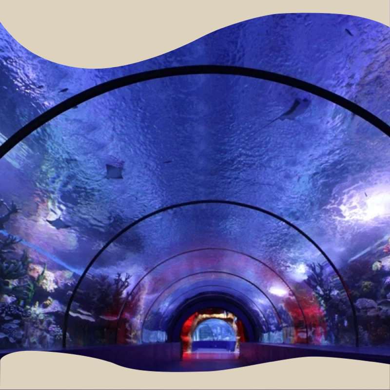 Acrylic Tunnel Sustainable AquariumsSuppliers 1