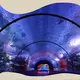 Acrylic Tunnel Sustainable AquariumsSuppliers 1