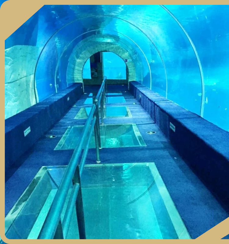 Custom Underwater Tunnel Aquarium Underwater Tunnel Aquarium Company 1