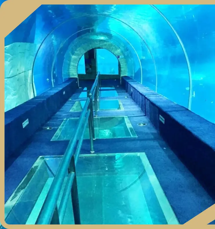 Custom Underwater Tunnel Aquarium Underwater Tunnel Aquarium Company 1