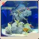 Wholesale Small Acrylic Fish Tank Price List 1