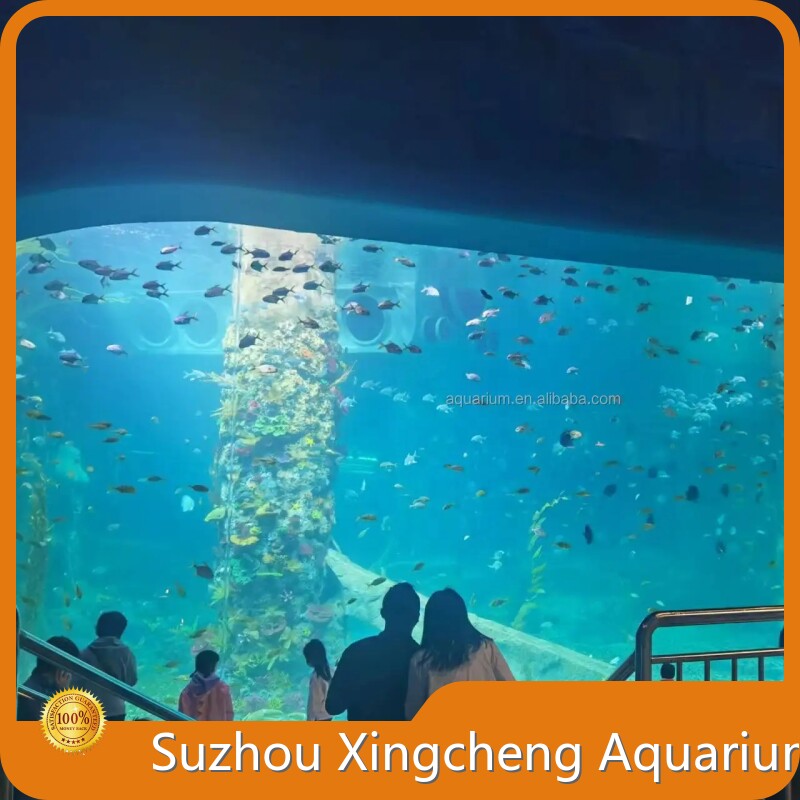 Acrylic Aquariums for Sale Acrylic by Xchacrylic 1