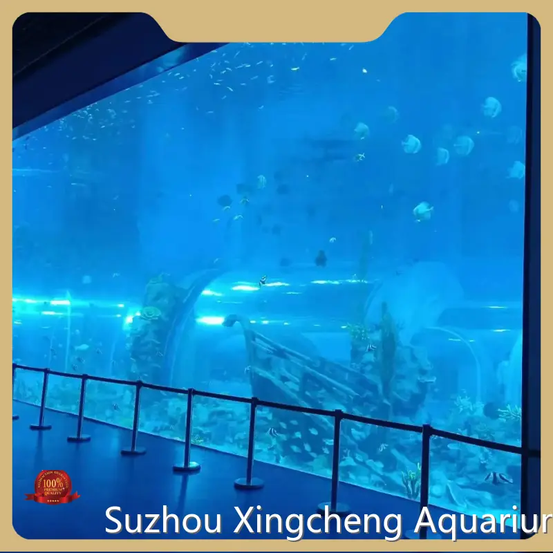 Custom Built Aquarium Transparent - - Xchacrylic 1