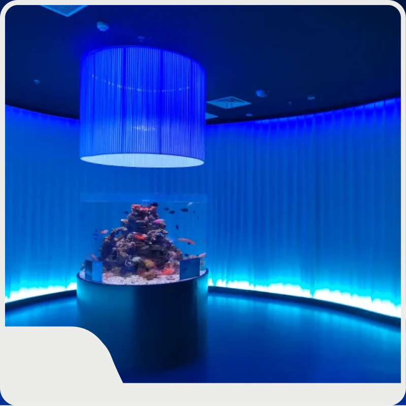 Large Acrylic Aquarium for Sale Live Aquarium Fish - - Xchacrylic 1