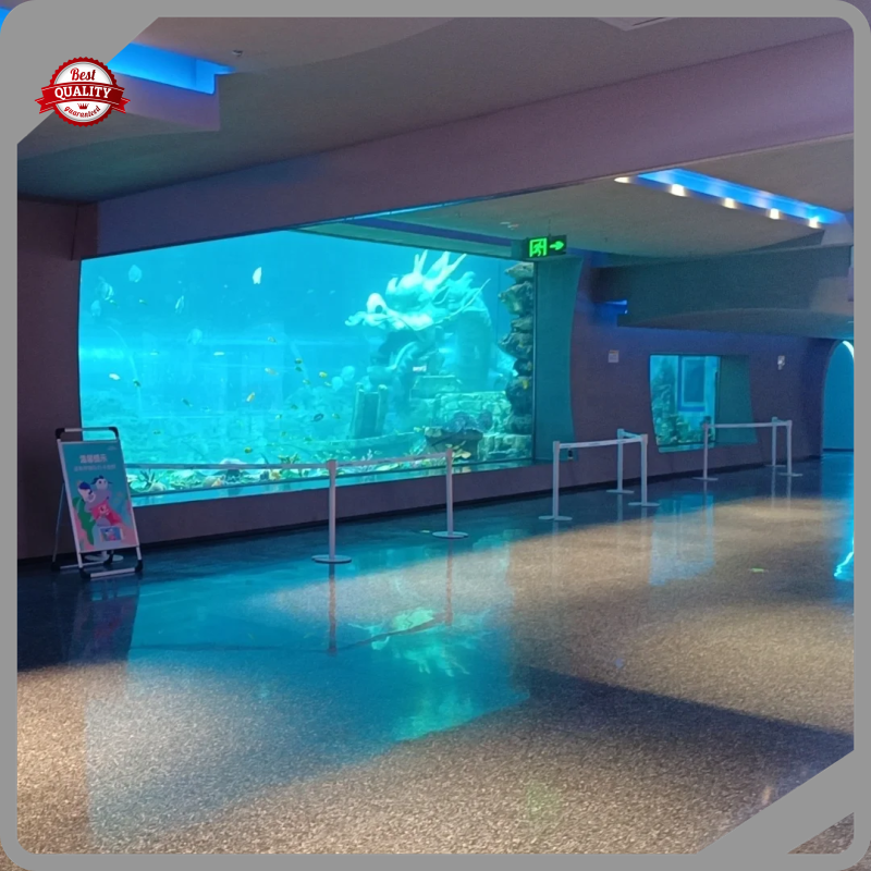 Custom Plexiglass Sheets Aquariums by Xchacrylic 1