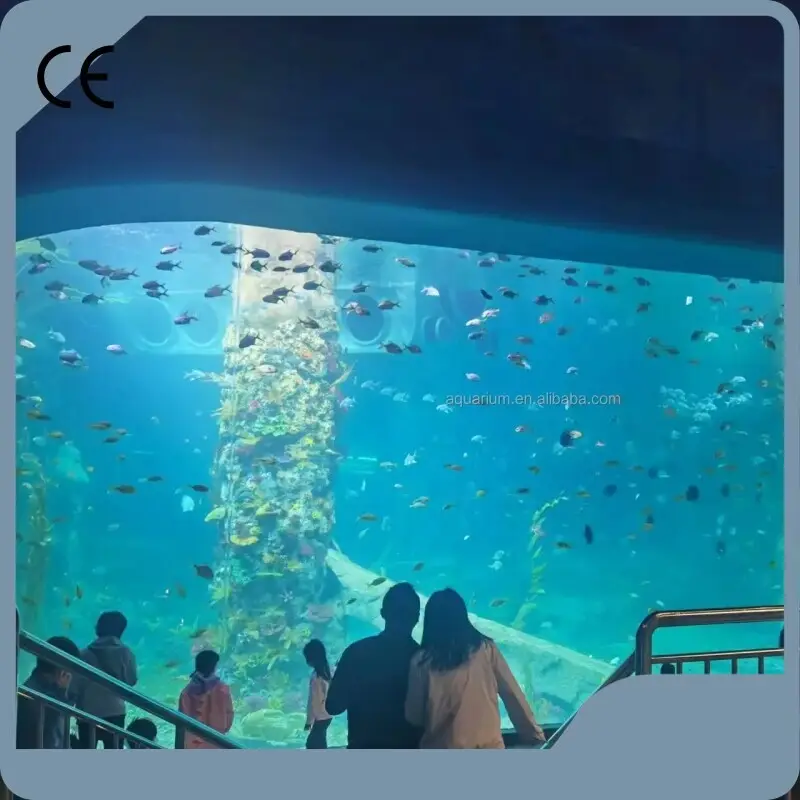 Acrylic Aquarium Wholesale Rigid - - Xchacrylic 1
