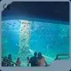 Acrylic Aquarium Wholesale Rigid - - Xchacrylic 1