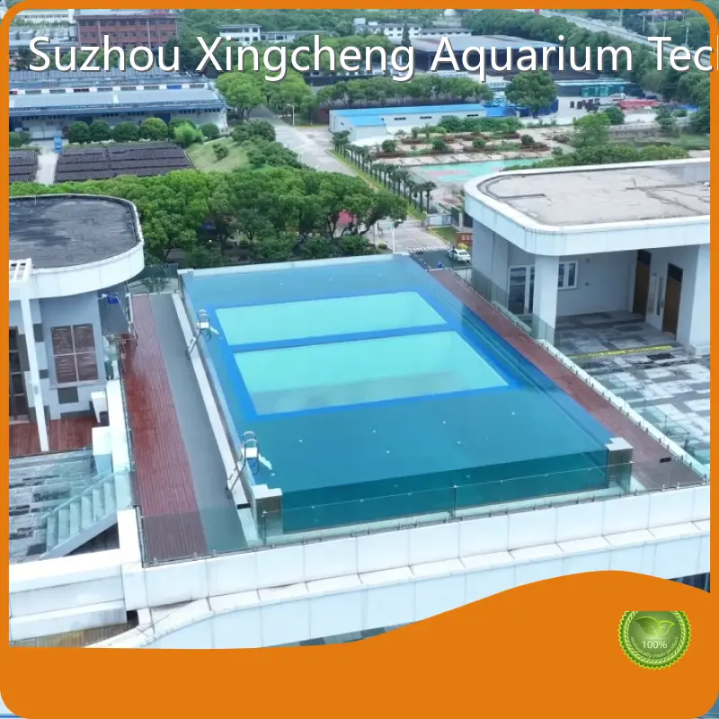 Custom Build Aquariums Pool - - Xchacrylic 1
