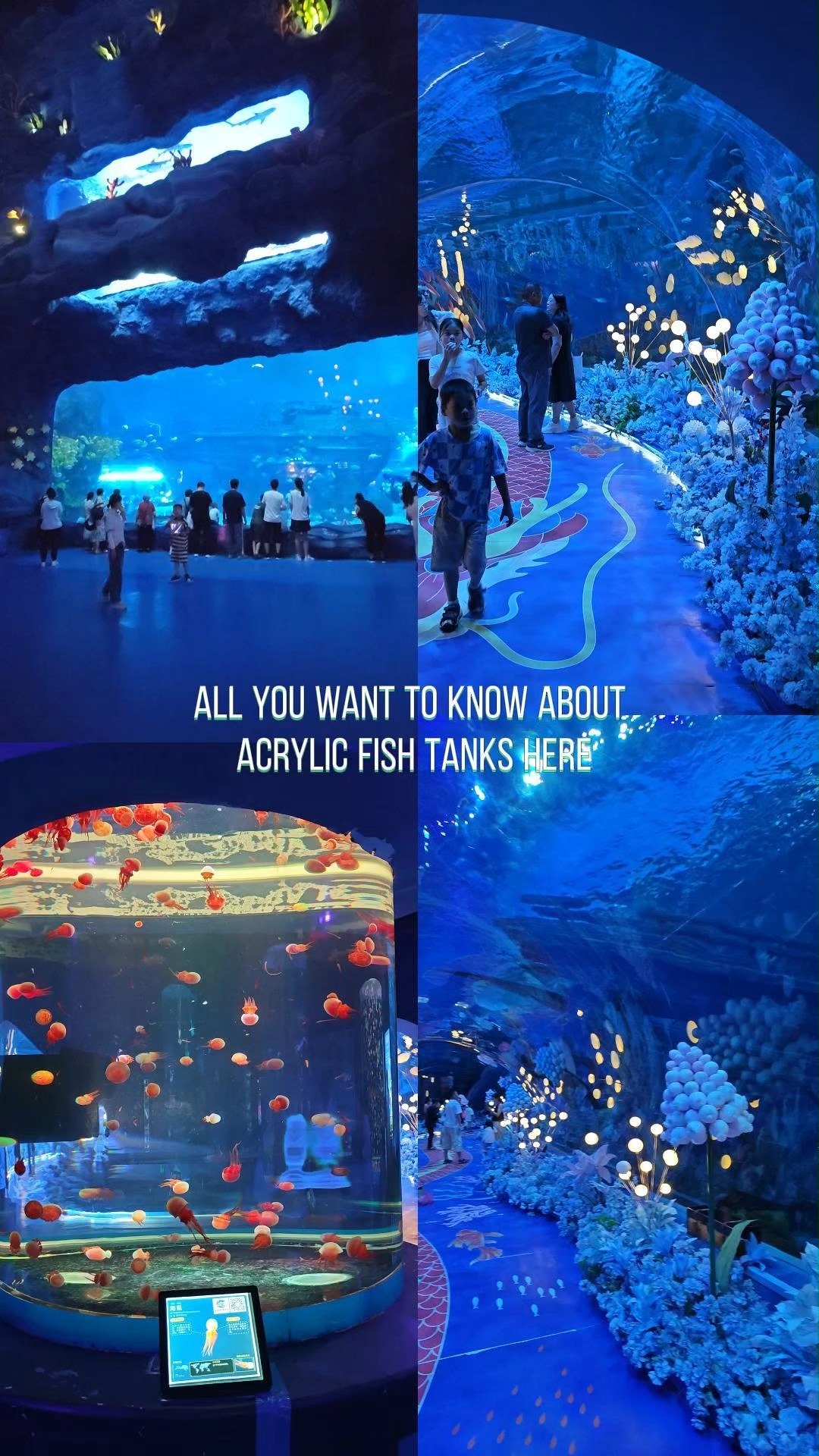 2025 transparent acrylic aquarium plexiglass fish tank 1
