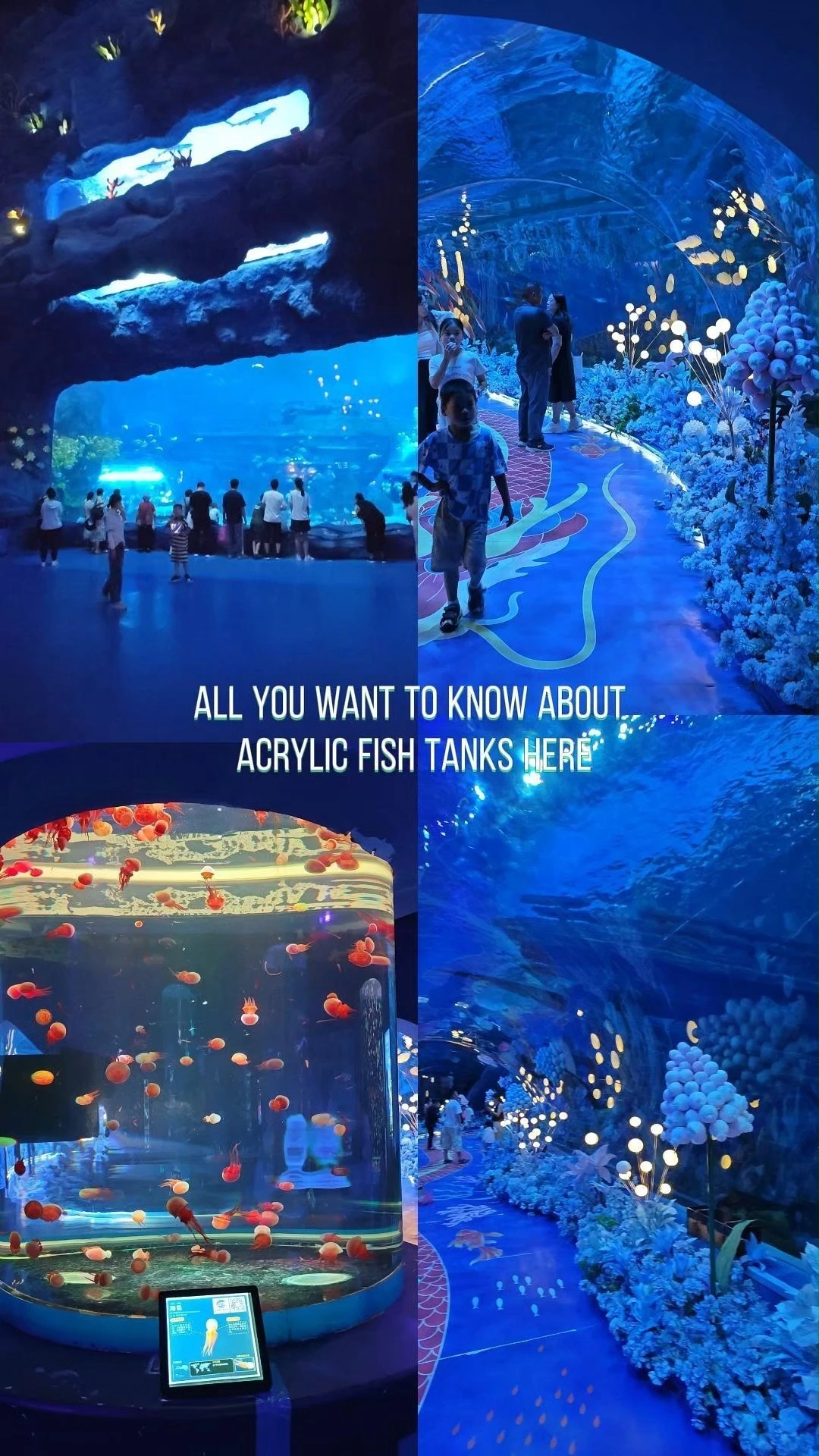2025 transparent acrylic aquarium plexiglass fish tank 1