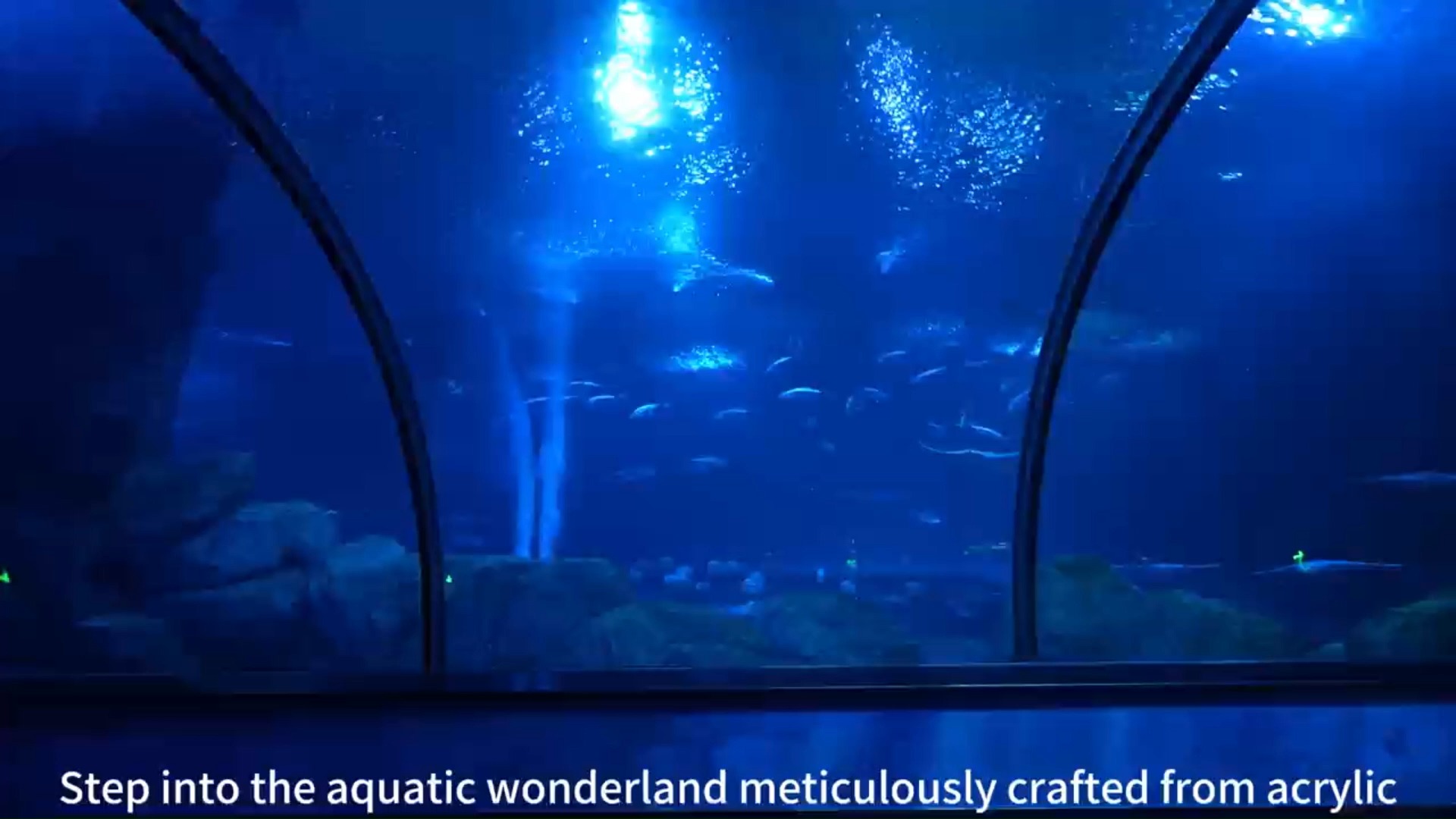 2025 transparent acrylic aquarium glass fish tank 1