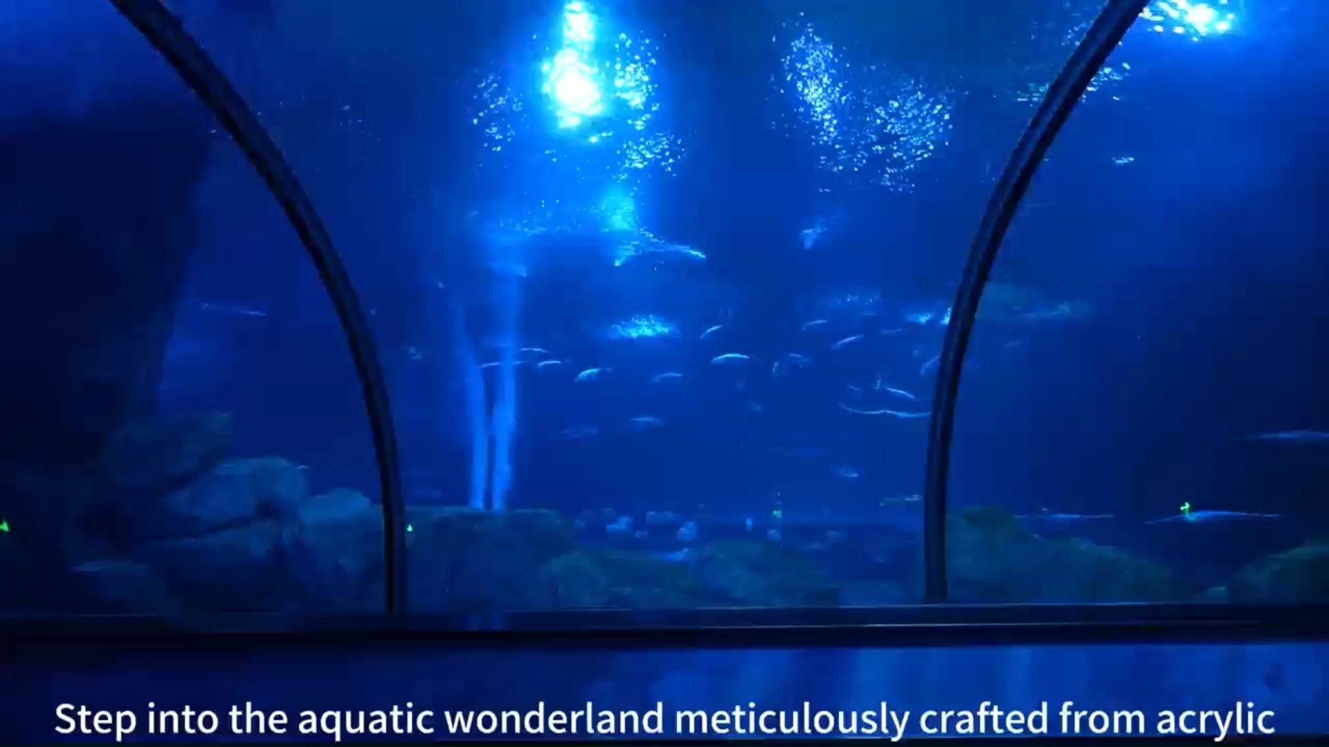 2025 transparent acrylic aquarium glass fish tank-1745463235752715 1