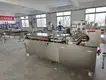 New Automatic Tortilla Machine 7
