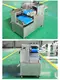 Custom Made Food Processing Machine Price List 6