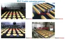 Cookie Making Equipment Provided by STABAKE 7