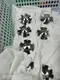 New Precision Parts Factory for Machine 5