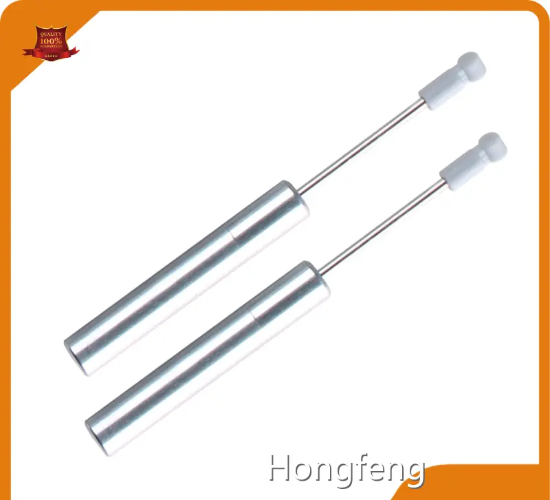 Door Hingle Supplier Modern by Hongfeng 1