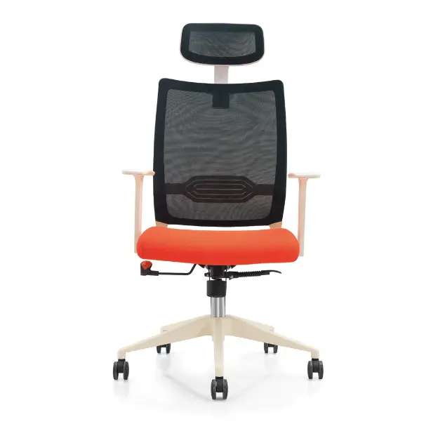 La mejor silla ergonómica para el dolor de espalda 1