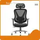 Brown Executive Office Chair Guangdong Foshan by Ivyco Chair 1