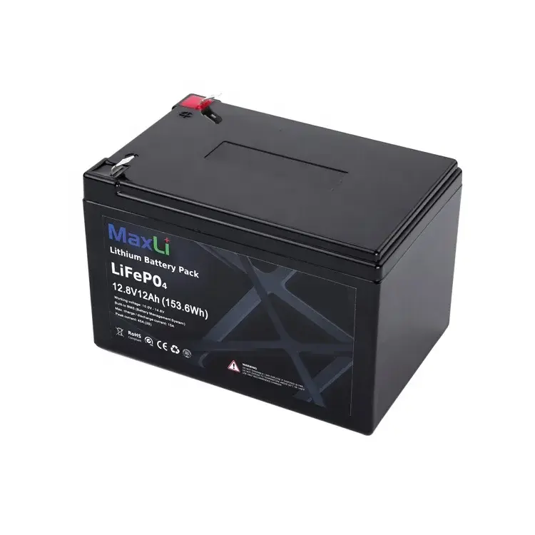 Lifepo4 Battery YS12-12 by MaxLi 3