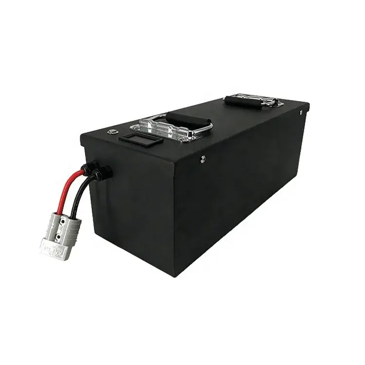 Lithium Ion Phosphate Battery Pack CAN - - MaxLi 2