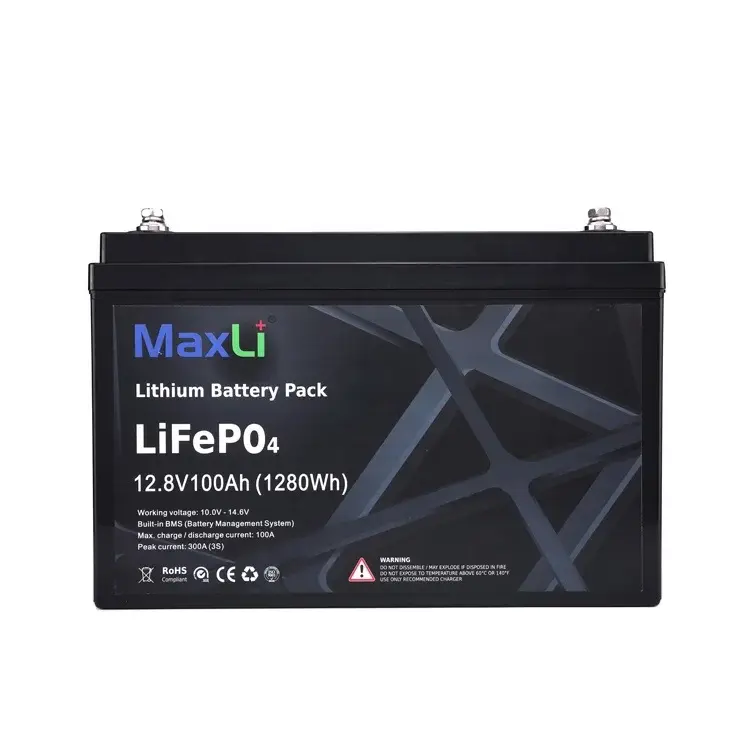 Lithium Ion Battery Makers LFP - - MaxLi 2