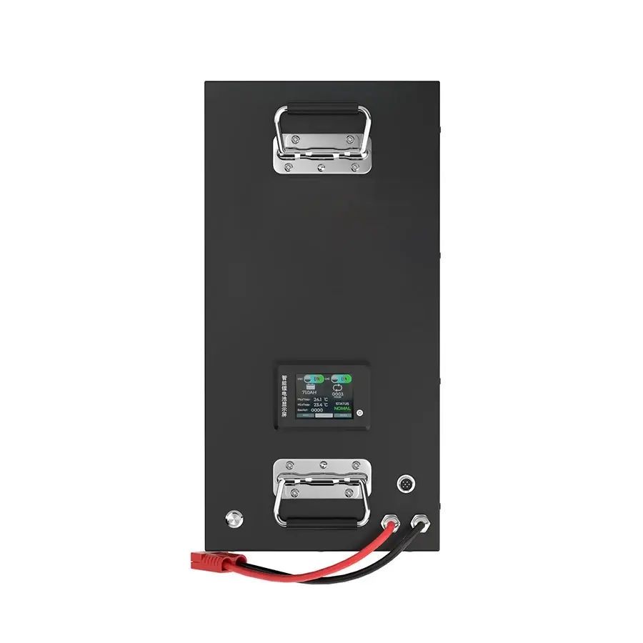 24 Volt Lifepo4 Battery Pack Built-in by MaxLi 4