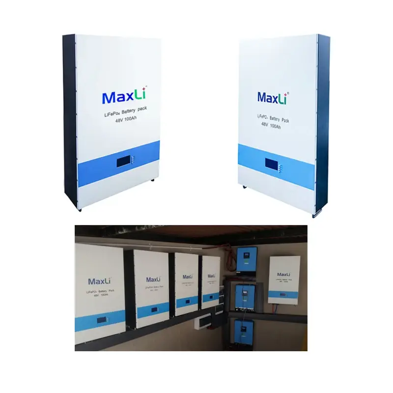 Custom Lithium Ion Battery Pack 700 X 404 X 181mm Or Customized by MaxLi 5