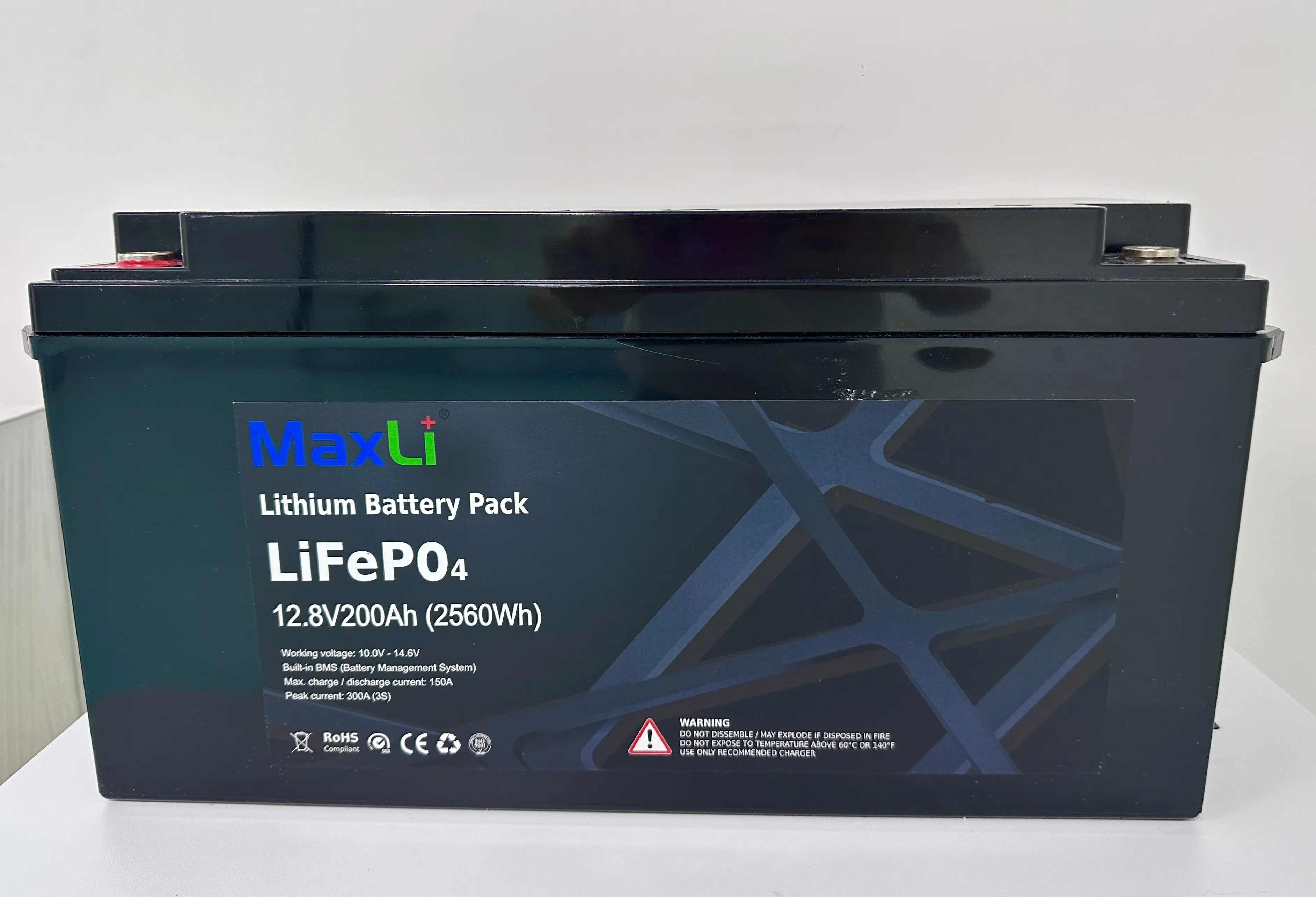 Lithium Ion Battery Manufacturers 200A by MaxLi 1