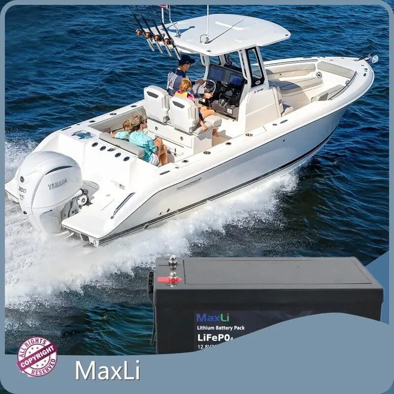 Rechargeable Lithium Battery Pack by MaxLi 1