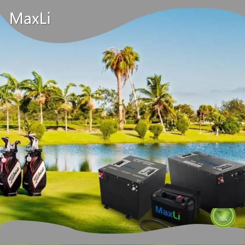 Lithium Battery Makers - - MaxLi 1