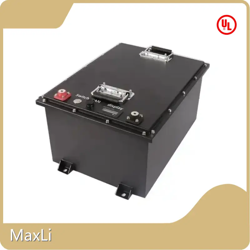 Lithium Ion Battery Manufacturers YS-24-200 by MaxLi 1