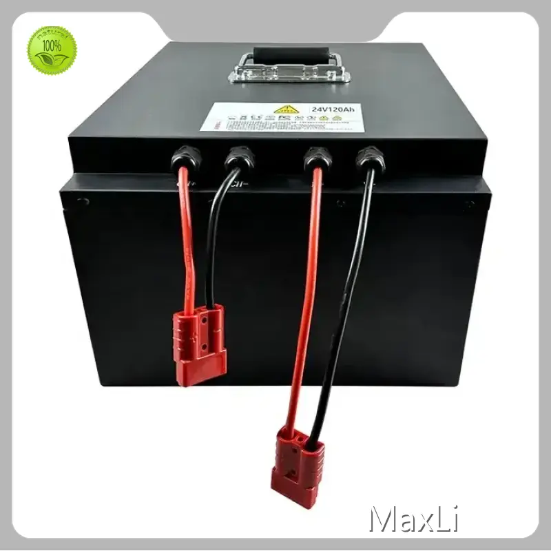 Lithium Ion Battery Producers ≥6000 @ 80% DOD by MaxLi 1