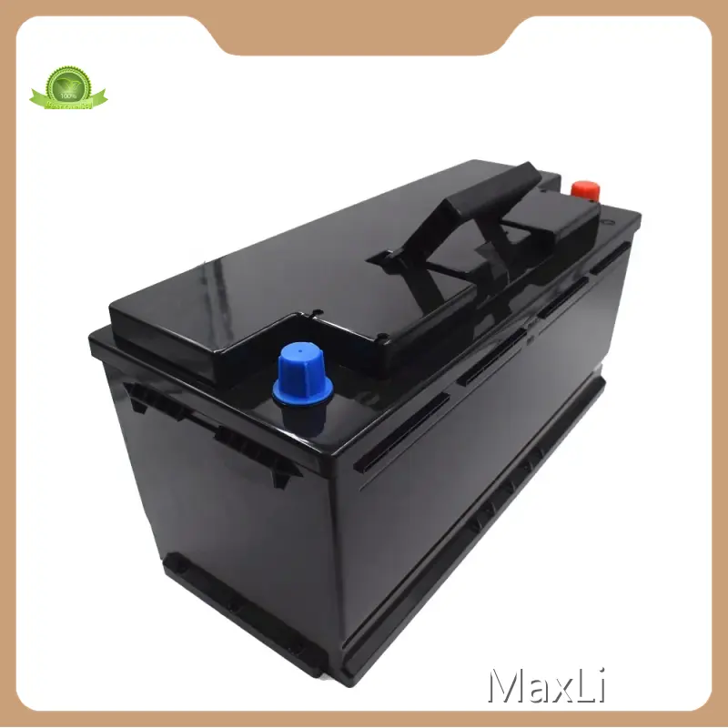 Lithium Batteries 1C by MaxLi 1