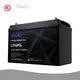 Lithium Polymer Battery Pack MaxLi - - MaxLi 1