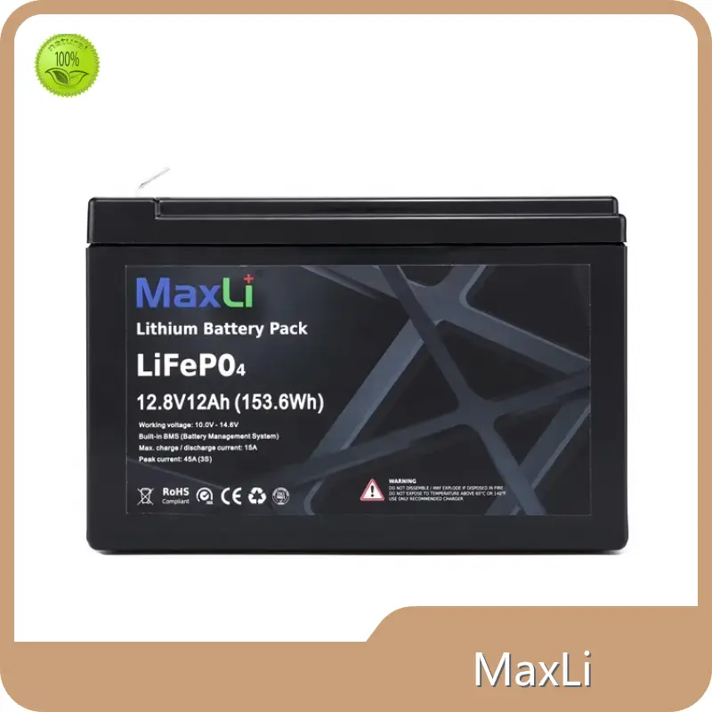 Lifepo4 Battery YS12-12 by MaxLi 1
