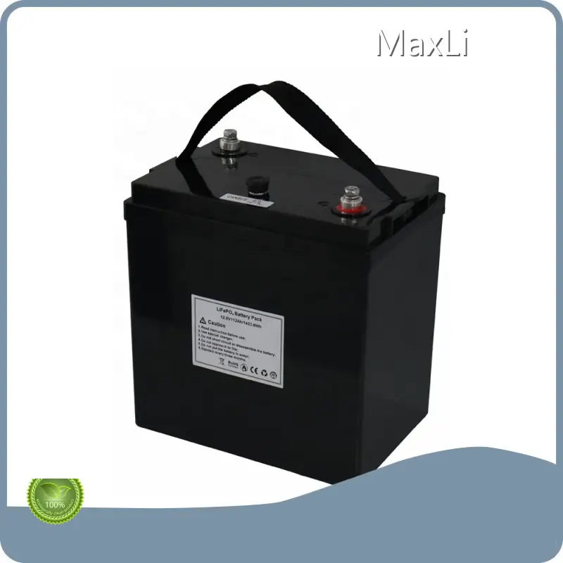Lithium Ion Polymer Battery 120A by MaxLi 1