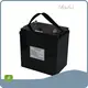 Lithium Ion Polymer Battery 120A by MaxLi 1
